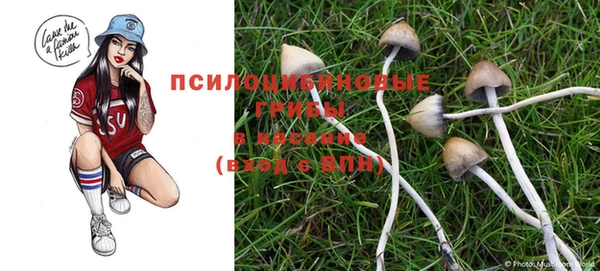 первитин Костерёво