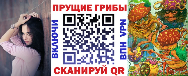 Псилоцибиновые грибы Psilocybe  Мариинский Посад 